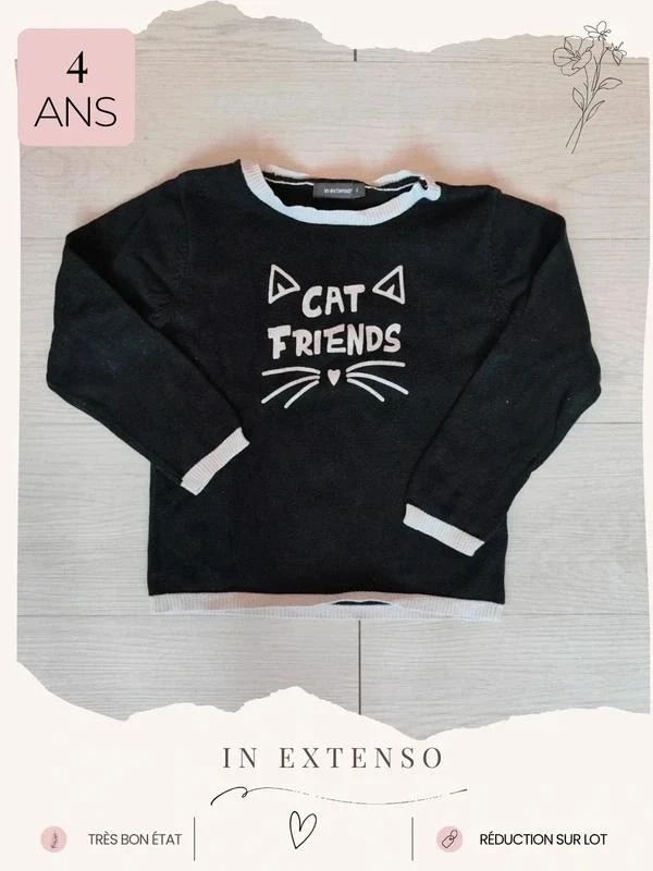 Pull fin chat 🦄 Taille 4 ans 🦄 In Extenso